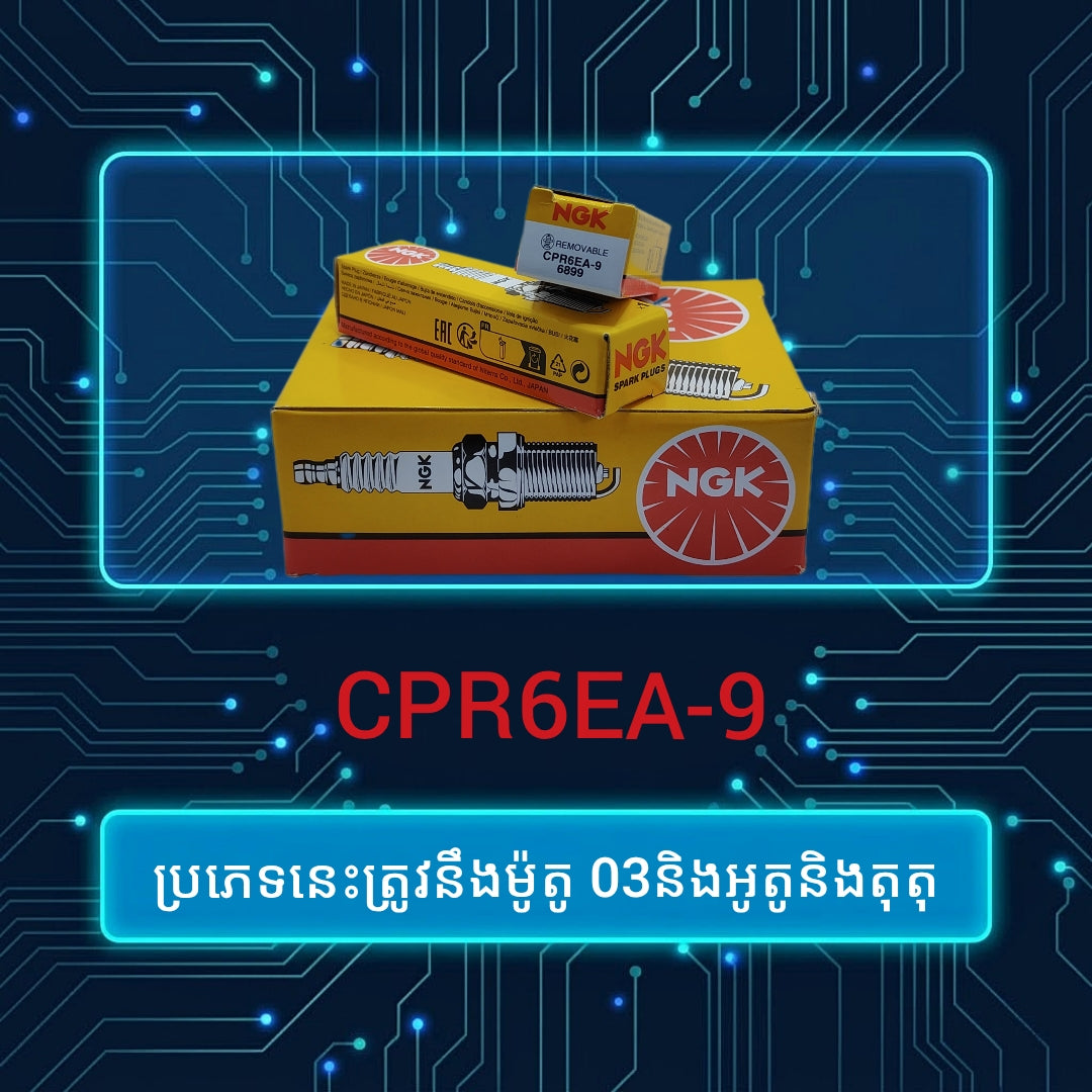 NGK CPR6EA-9 spark plug packaging