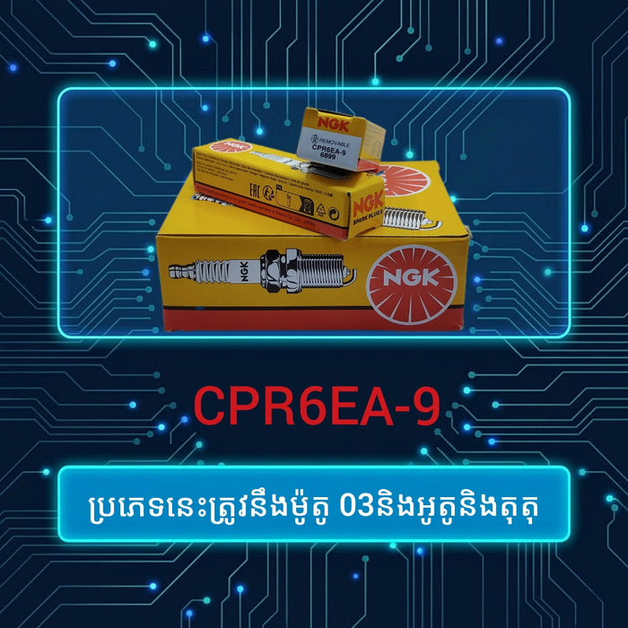 NGK CPR6EA-9 spark plug packaging